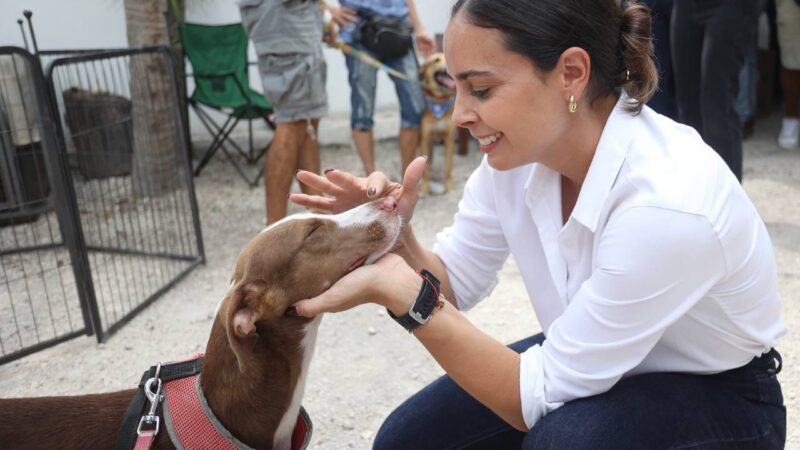 Adoptar mascotas es acto de amor: Ana Paty Peralta