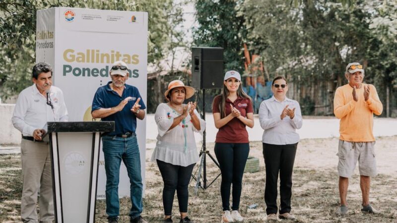 Benefician con más de 11 mil 900 gallinitas ponedoras a familias benitojuarenses