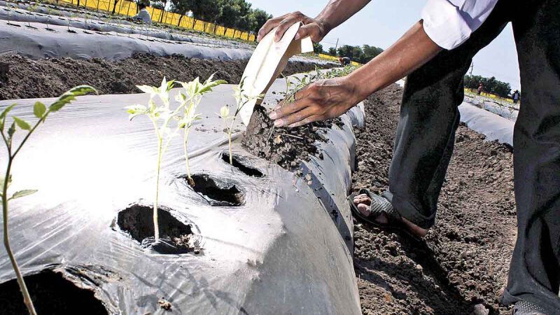 Proyecto con enfoque social: Garantizarán agua para sembrar alimentos