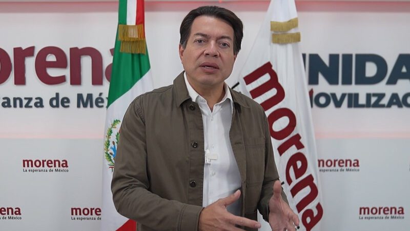 Mario Delgado: Miles participaron en primera consulta para construir el Proyecto de Nación