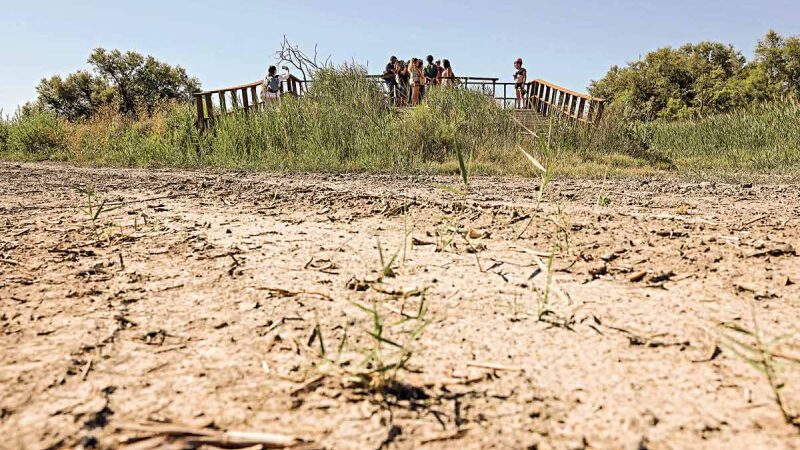 El agua, tema decisivo para los comicios en España