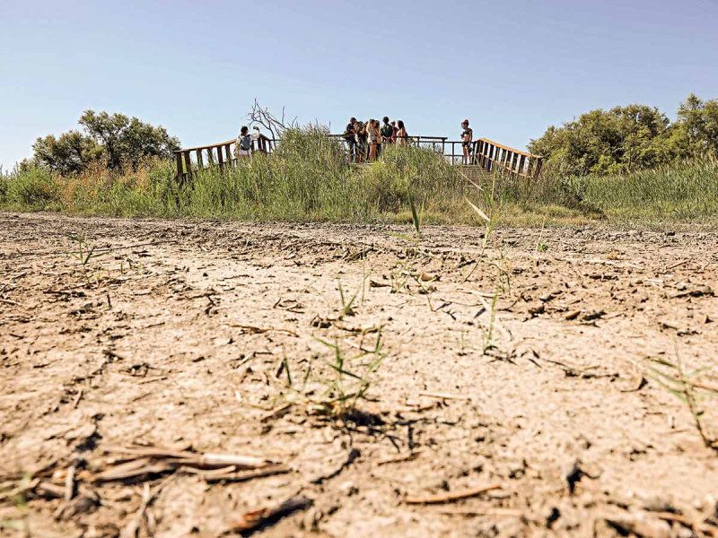 El agua, tema decisivo para los comicios en España