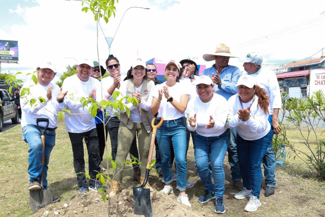 Refuerza Ana Paty Peralta la reforestación en Cancún 