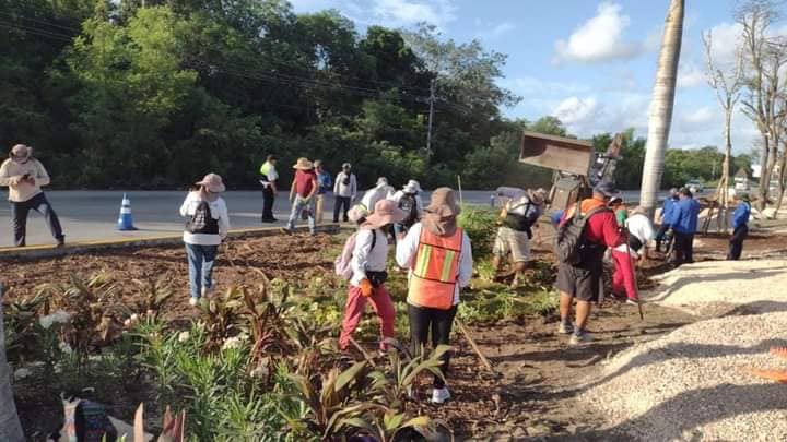 Gobierno municipal reforesta camellón de la carretera federal