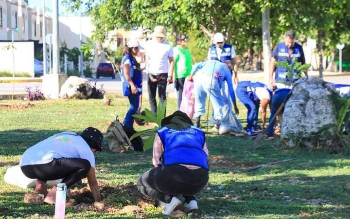 Son restauradas áreas verdes en Villas del Sol