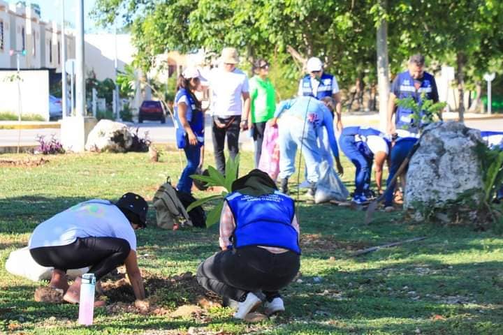 Son restauradas áreas verdes en Villas del Sol