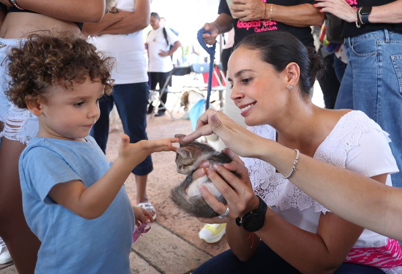 Cancunenses se unen por el bienestar animal: Ana Paty Peralta