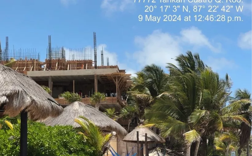 Profepa Obligada a Presentar Denuncias Penales por Construcción ilegal en Zona de Tortugas Marinas en Tulum