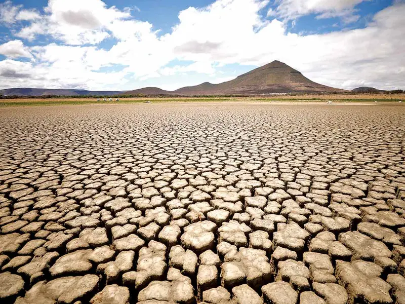 Cambio climático sobrecalentó el 2023; hoy es el Día de Acción contra el Calor