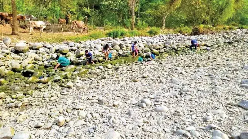 Activan plan emergente por sequía en Huejutla; 60 colonias afectadas