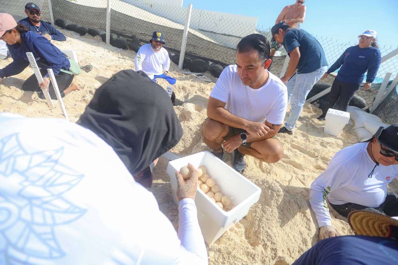 RESGUARDA GOBIERNO DE BJ NIDOS DE TORTUGAS POR LLEGADA DEL HURACÁN “BERYL”