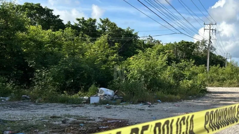 Macabro Descubrimiento en Camino de Terracería en Cancún: Encuentran Cuatro Cuerpos