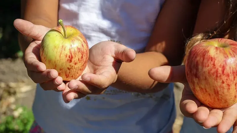 Niños deben consumir al menos 10 gramos de frutas y verduras al día