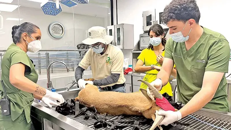 Zoológico de Guadalajara, una moderna Arca de Noé