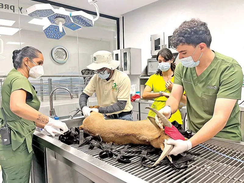 Zoológico de Guadalajara, una moderna Arca de Noé