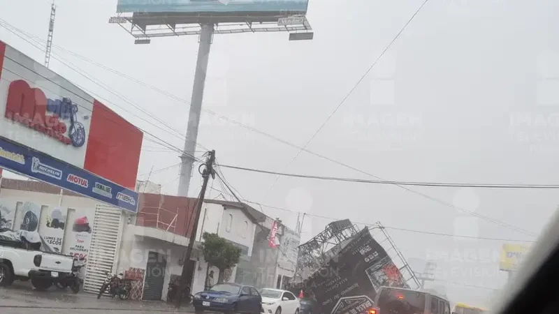 Tromba en Puebla tira anuncios y árboles