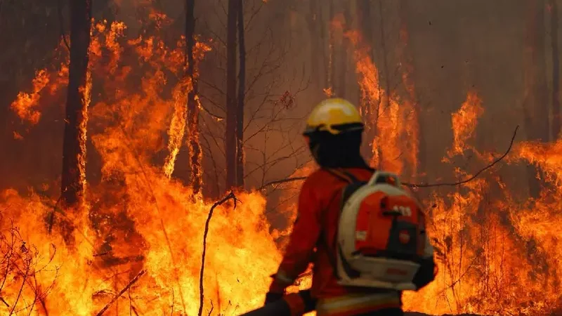 Bolivia declara emergencia nacional por incendios forestales