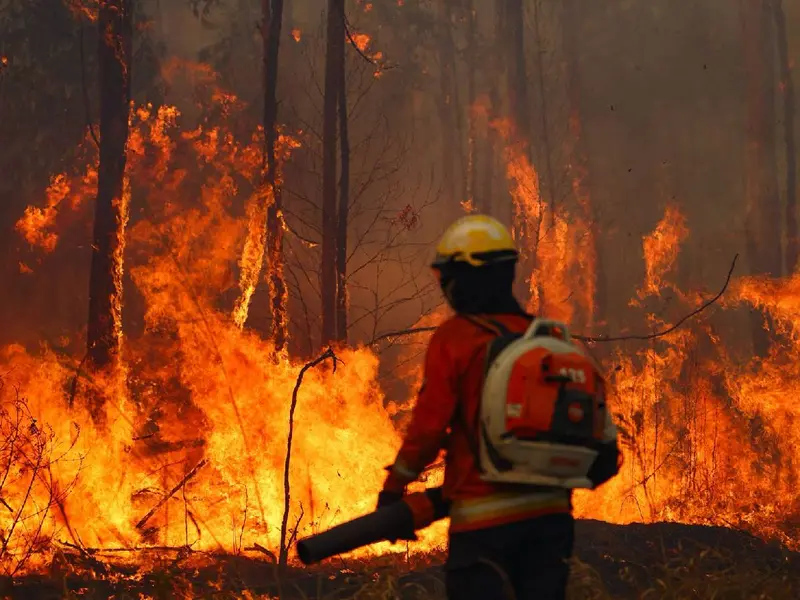 Bolivia declara emergencia nacional por incendios forestales