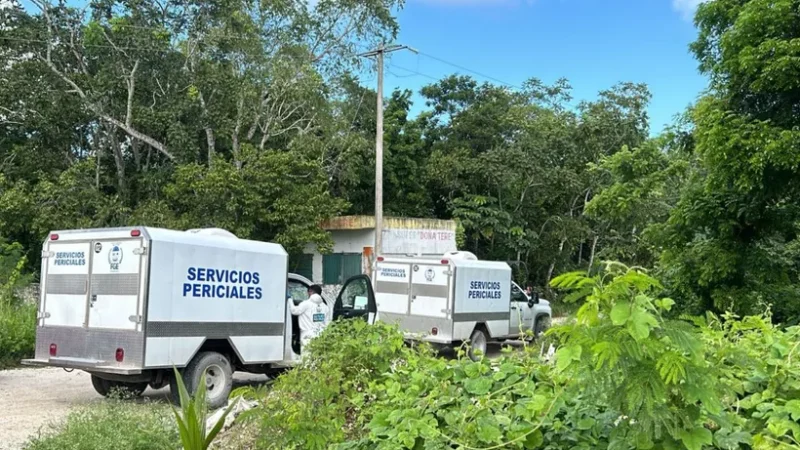 Hallan a dos jóvenes ejecutados y amarrados en colonia irregular a la salida de Cancún