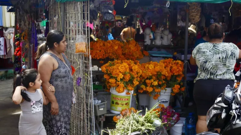 Para morirse, precio de las flores de cempasúchil en Cancún