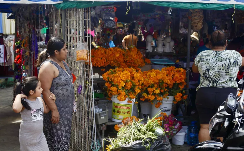 Para morirse, precio de las flores de cempasúchil en Cancún