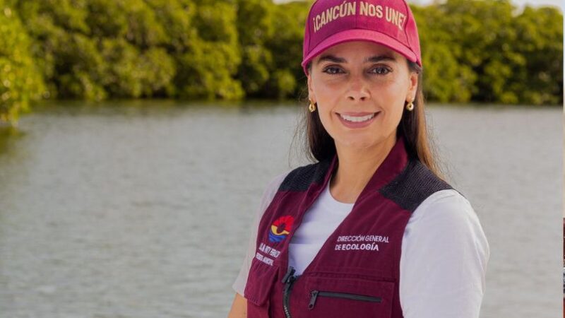 CLAUSURA GOBIERNO DE BJ OBRA ILEGAL EN ÁREA NATURAL PROTEGIDA TRAS DENUNCIAS CIUDADANAS