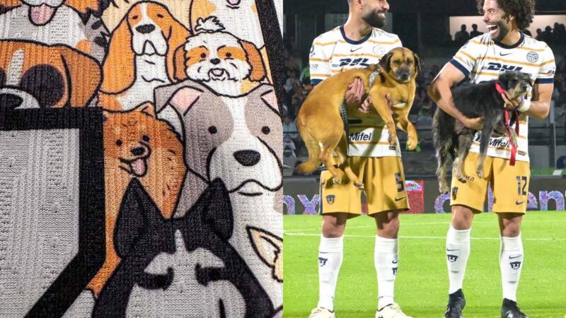 Pumas muestra su apoyo para adopción de perros en partido de Liga MX