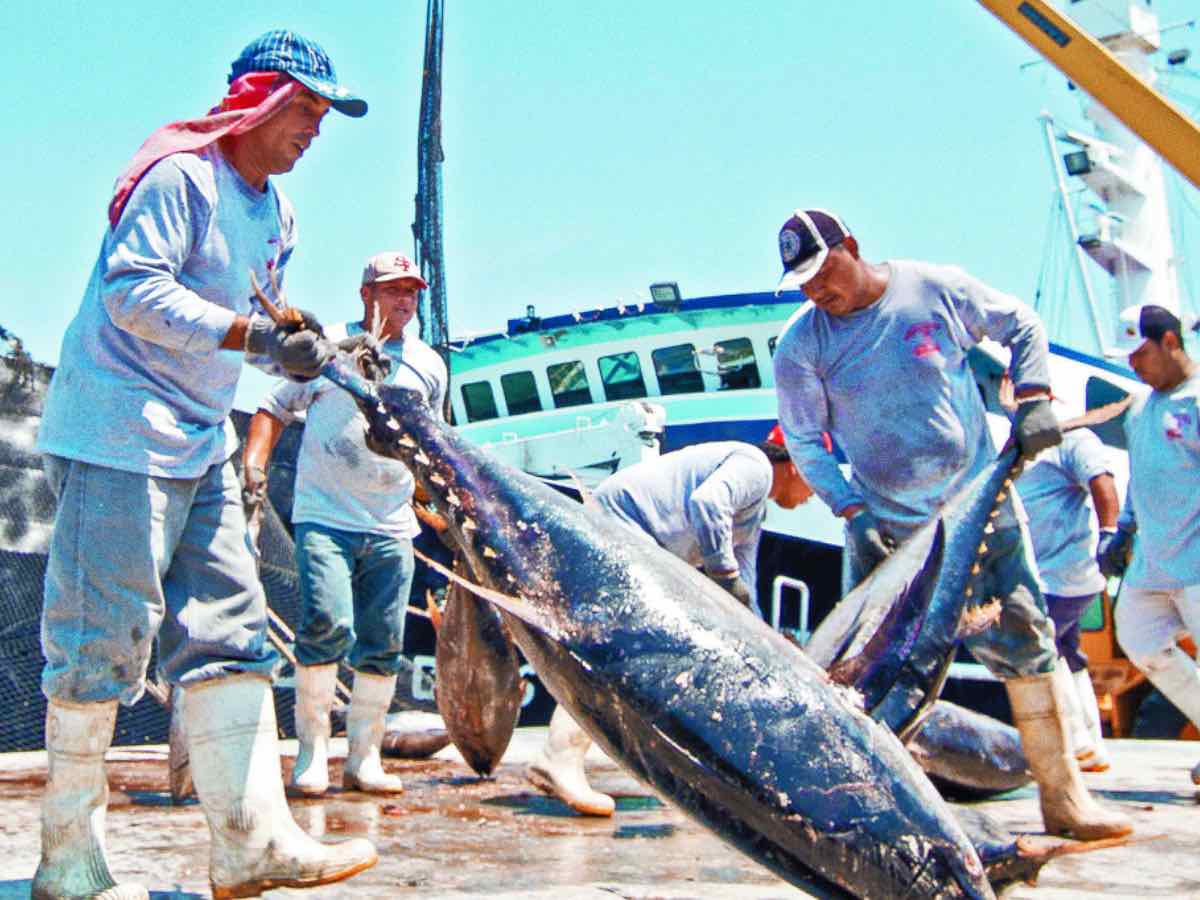 Emiten primer Bono Azul para fomentar pesca y acuacultura sostenibles en México