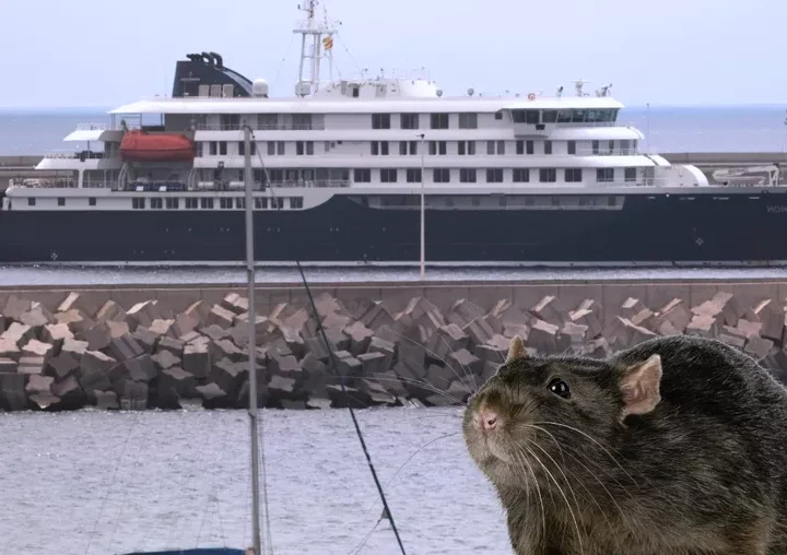 España confirma nuevo caso de hantavirus: viajó en el MV Hondius