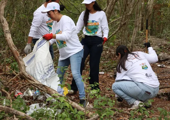 Puerto Aventuras: barren con más de 200 kilos de basura del cenote Puerto Maya