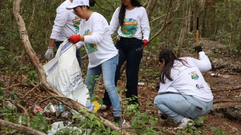 Puerto Aventuras: barren con más de 200 kilos de basura del cenote Puerto Maya